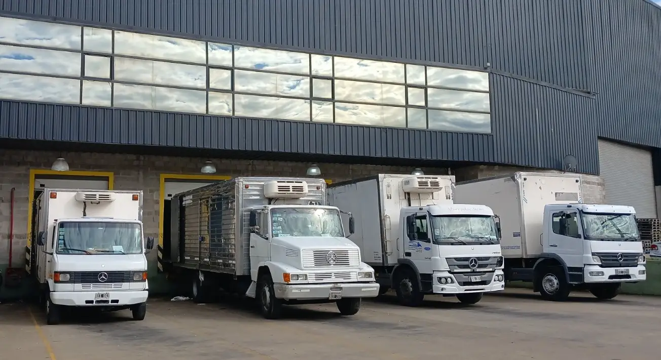 Flota de Camiones Transporte Lucero